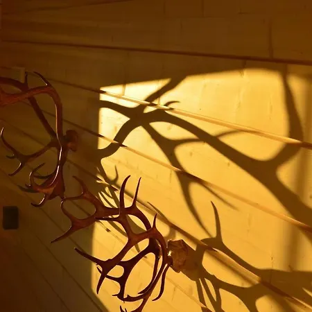 Vasa - New Luxury Next To Chalet *