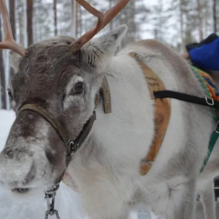 Vasa - New Luxury Next To Chalet *